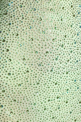 Embellished Long-Sleeve Fishtail Maxi Dress in Pistachio